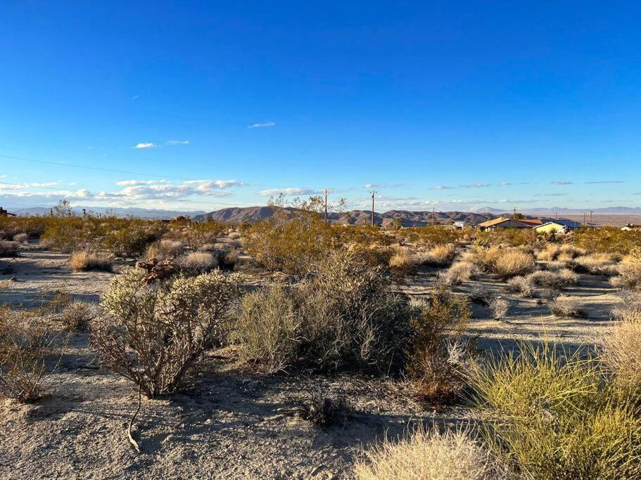 דירות טוונטיניין פאלמס Joshua Tree National Park - Cozy Palms Getaway מראה חיצוני תמונה