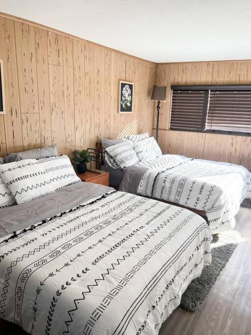 דירות טוונטיניין פאלמס Joshua Tree National Park - Cozy Palms Getaway מראה חיצוני תמונה